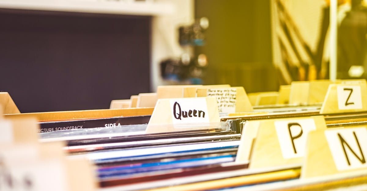 File Folders