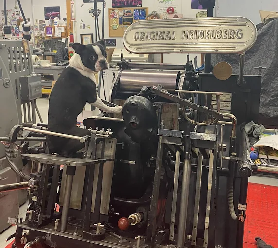 A Valley Press shop dog resting next to a running press at 2675 E Patrick Lane, Las Vegas