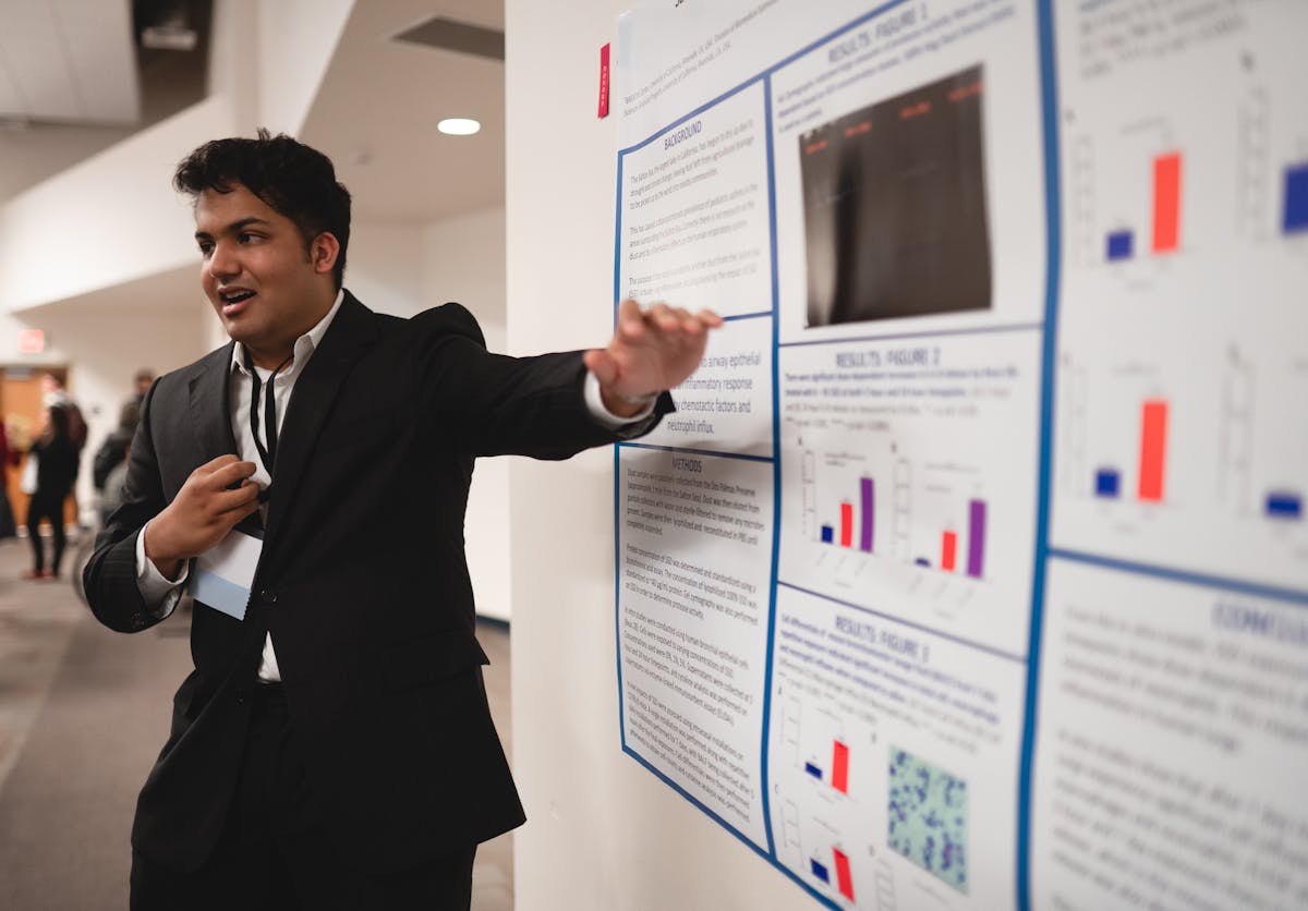 Poster session boards